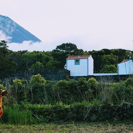 הוילה São Roque do Pico Casa Do Paim מראה חיצוני תמונה