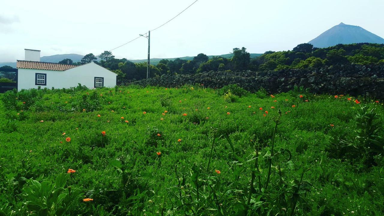 הוילה São Roque do Pico Casa Do Paim מראה חיצוני תמונה