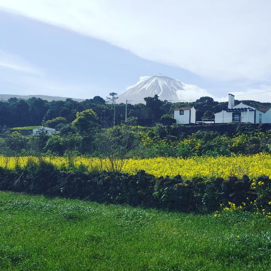 הוילה São Roque do Pico Casa Do Paim מראה חיצוני תמונה